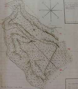 Abb.3 Ehemaliger Kobl. Stadtwald Hmmerich 1791