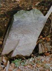 Abb. 7: Koblenzer Stadtkronenstein 82/1769